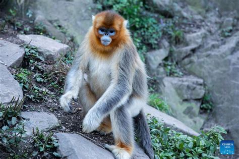 玉合公園怎樣？從多角度探索其魅力